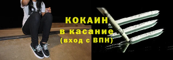 стаф Баксан
