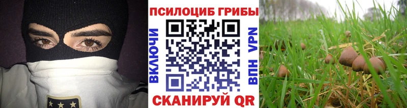 мега сайт  Лянтор  Псилоцибиновые грибы мицелий 